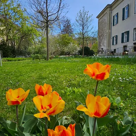 Yellow Flat By Grazrentals Vaulted Kitchen & Pet Friendly & Free Parking Γκρατς