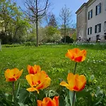 Yellow Flat By Grazrentals Vaulted Kitchen & Pet Friendly & Free Parking Graz