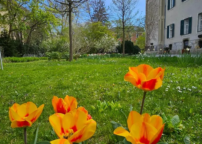 Yellow Flat By Grazrentals Vaulted Kitchen & Pet Friendly & Free Parking Γκρατς